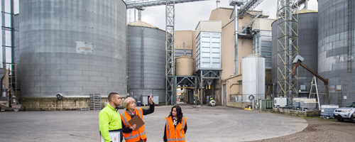 Workers outside at factory