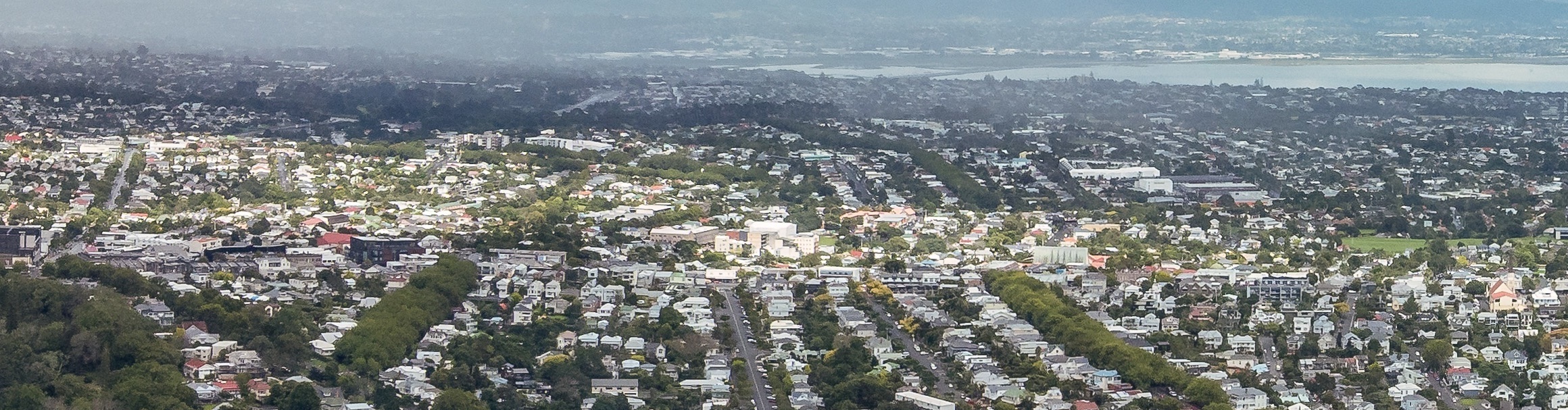 Auckland City Panorama