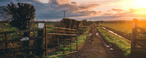To Fence Or Not To Fence – The New Stock Exclusion Regulations